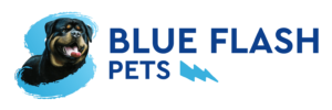 Blue-Flash-Logo